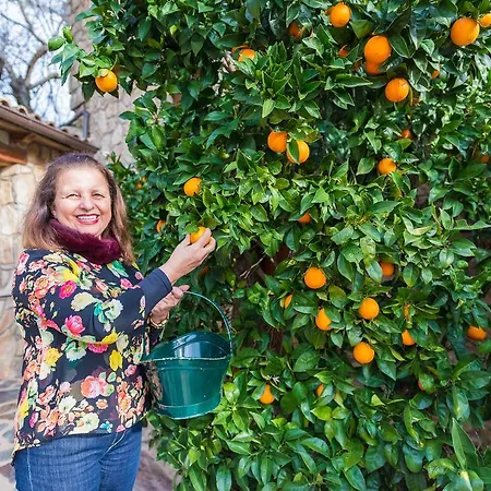 Montejos & * Valverde del Fresno