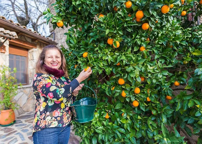 Montejos&spa * Valverde del Fresno